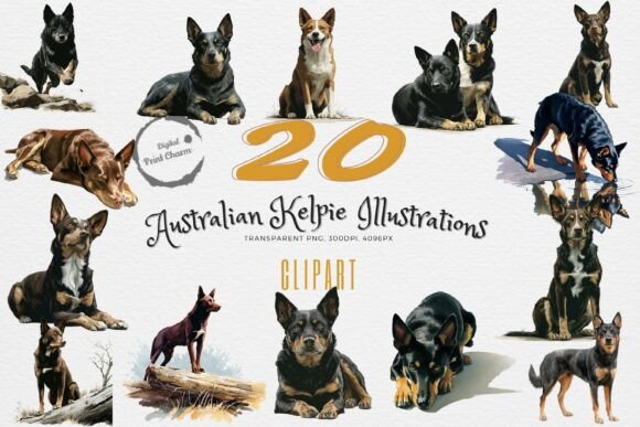 Intelligent Australian Kelpie Art Set: The Ultimate Working Dog Collection
