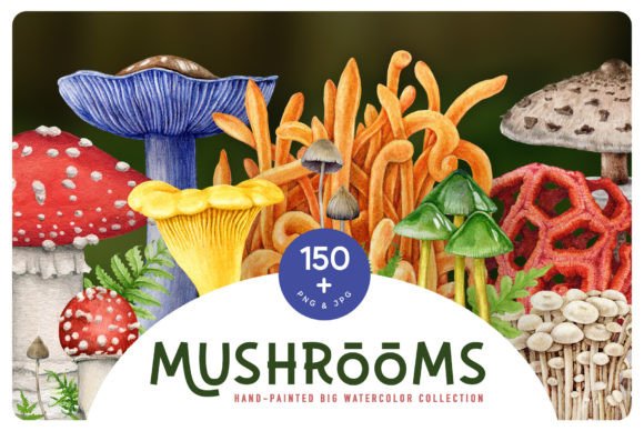 Mushrooms Big Watercolor Painted Set: Nature's Artistry