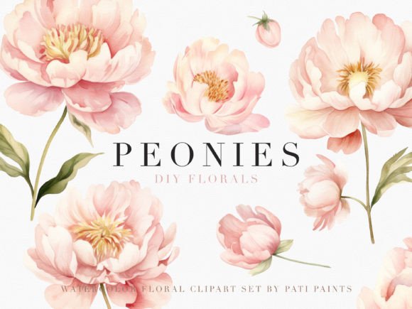 Watercolor Dusty Pink Peonies Cliparts for Elegant Designs