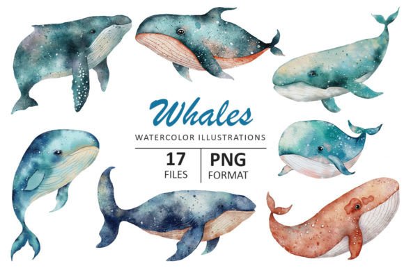 Whale Watercolor Illustration: Hand Drawn Design Assets